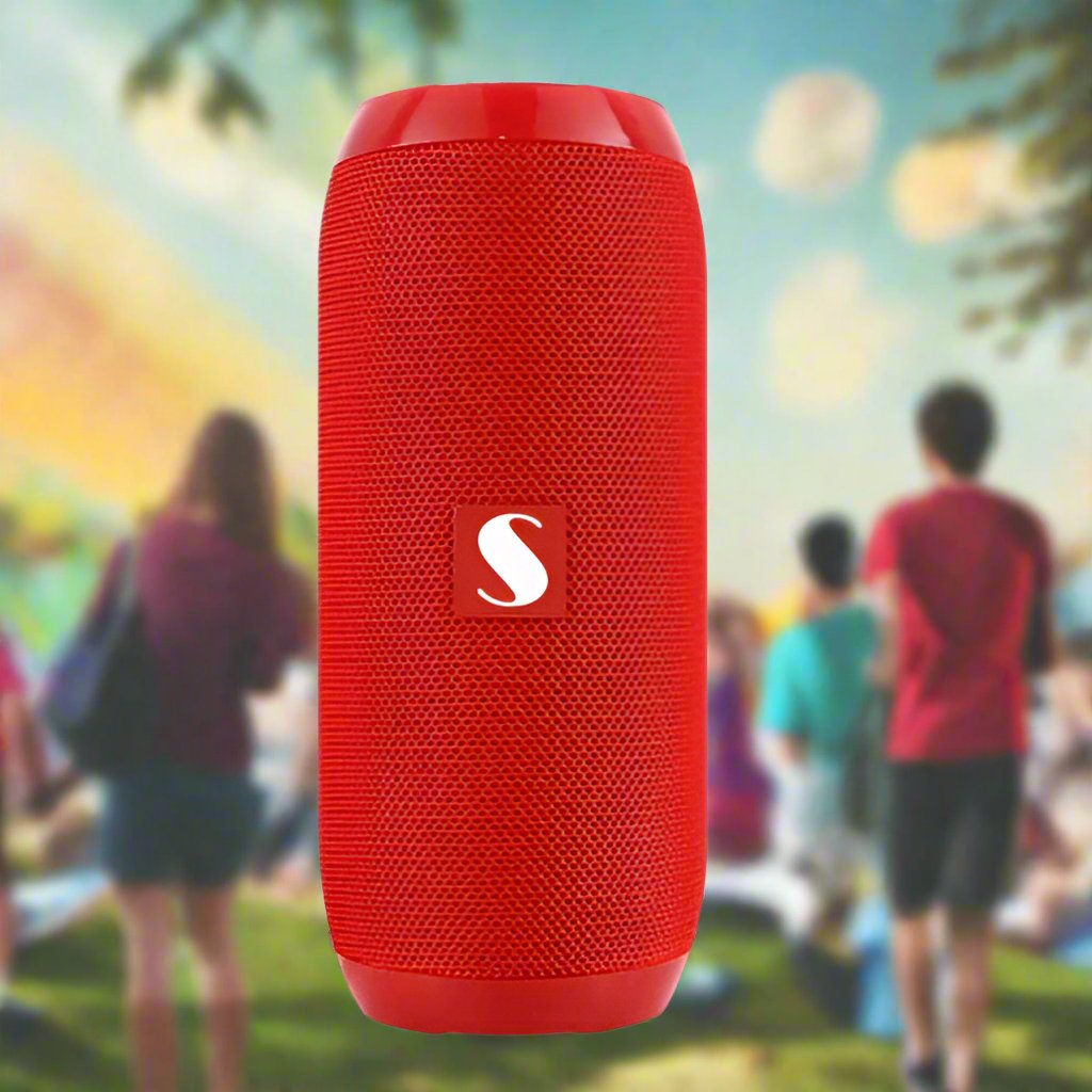 Bluetooth Speaker And Subwoofer